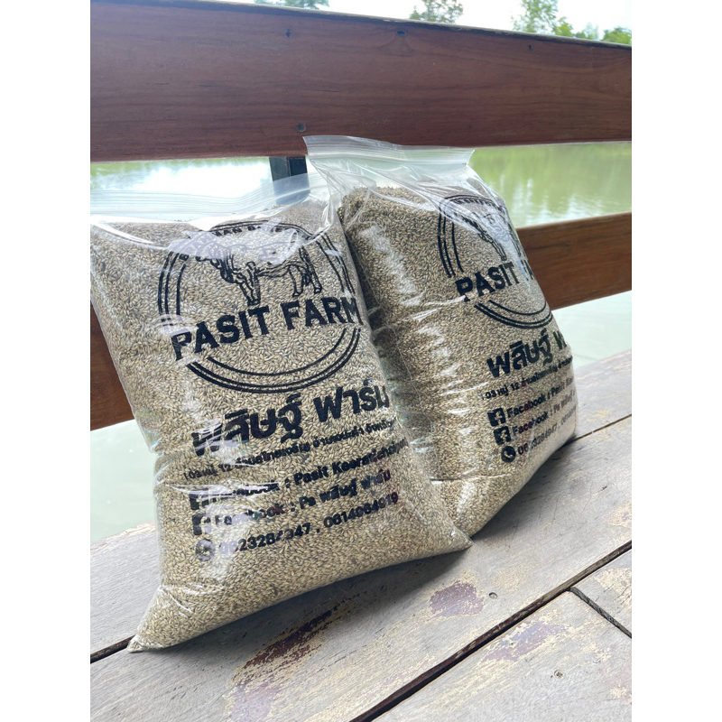 เมล็ดพันธุ์หญ้ารูซี่ (Ruzi Grass) 4 kg. พร้อมส่ง