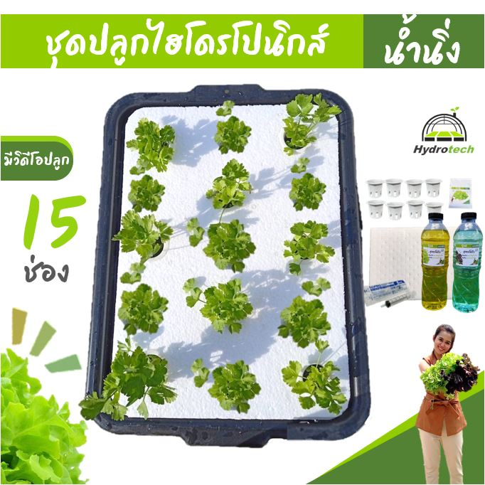 [กระบะ15ช่อง]ชุดทดลองปลูกผักไฮโดรโปนิกส์ ปลูกผักไร้ดิน รุ่น15ช่องน้ำนิ่ง