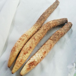 มันเสาป่า900g.150.. -​