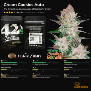 เมล็ดกัญชา Cream Cookies Auto - Fastbuds Pack : 1 seed พร้อมแพ็คเกจค่าย เมล็ดกัญชาออโต้