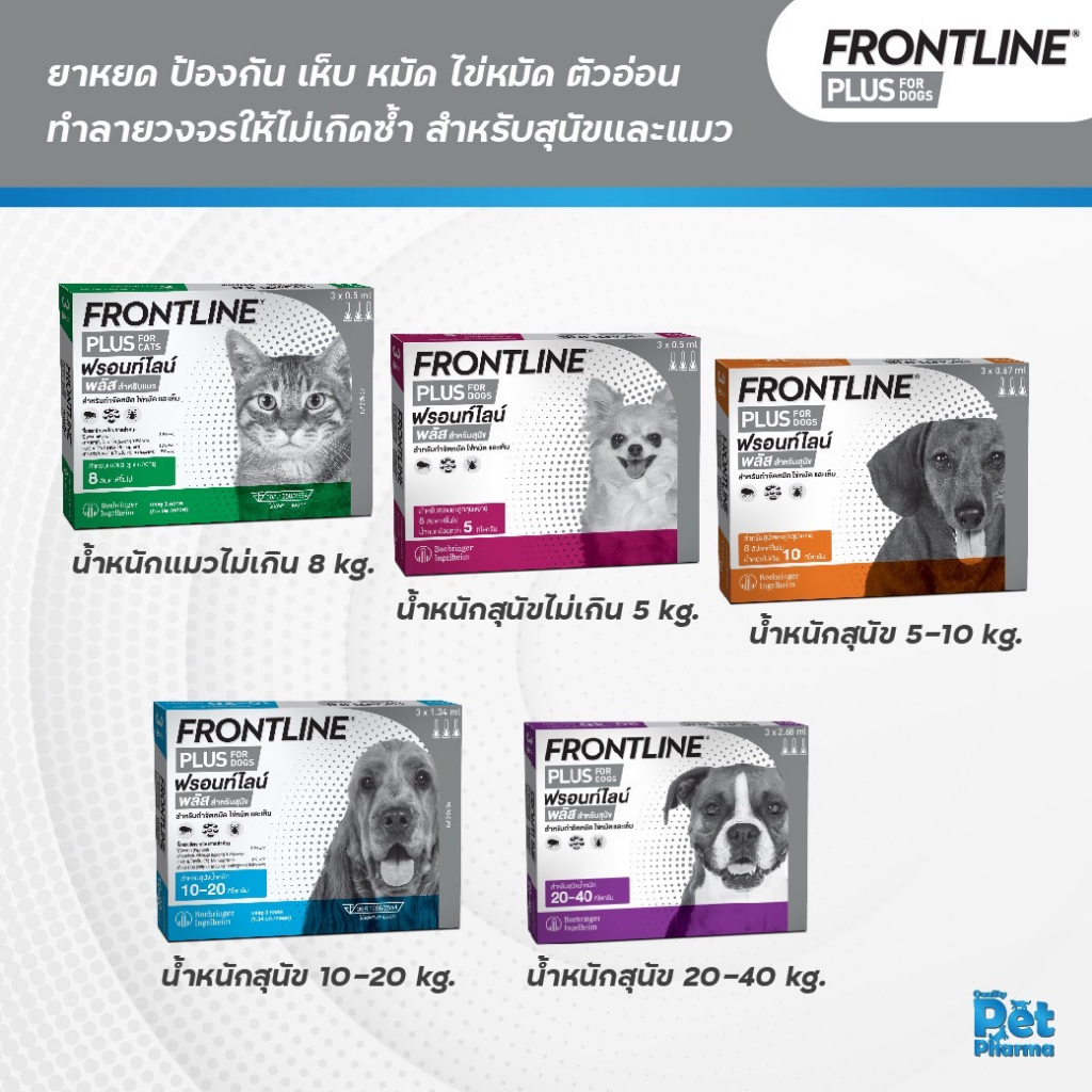 Frontline Plus ยาหยดป้องกันเห็บหมัด สุนัขและแมว