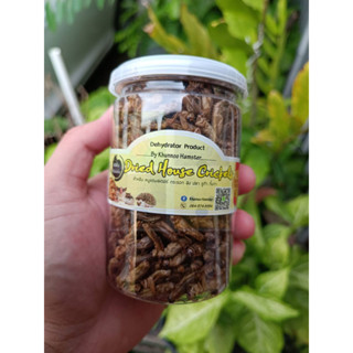 สินค้าขายดีสะดิ้งอบแห้ง Dried House Crickets By คุณหนู สำหรับสัตว์เลี้ยง กระปุกใหญ่