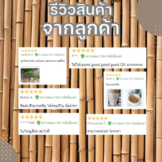 เข่งปลูกต้นไม้ เข่ง30กิโล ขนาด 42*34*20 ซม. เข่งไม้ไผ่ เข่งสานไม้ไผ่ (เข่ง30โล5ใบ)
