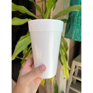 แก้วโฟม Double cup แก้วลีu คุณภาพคุ้มราคา💯