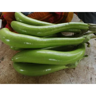 🌿เมล็ดมะเขือยาวสีเขียว70เมล็ด (5แถม1คละได้)