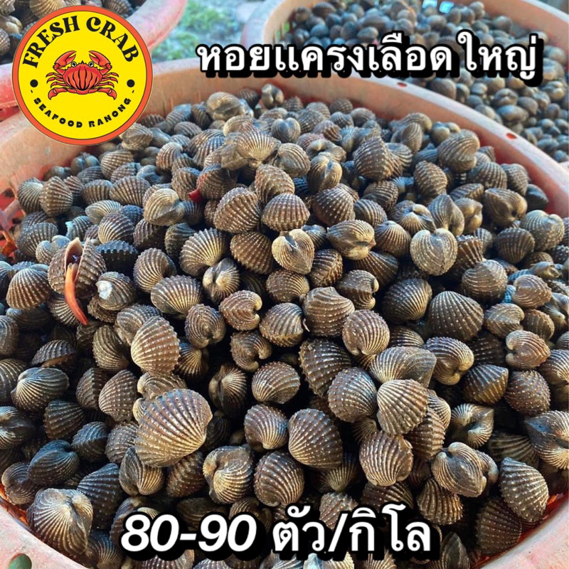 หอยเเครงเลือกใหญ่เลือดกลาง (ส่งตรงจากระนอง)