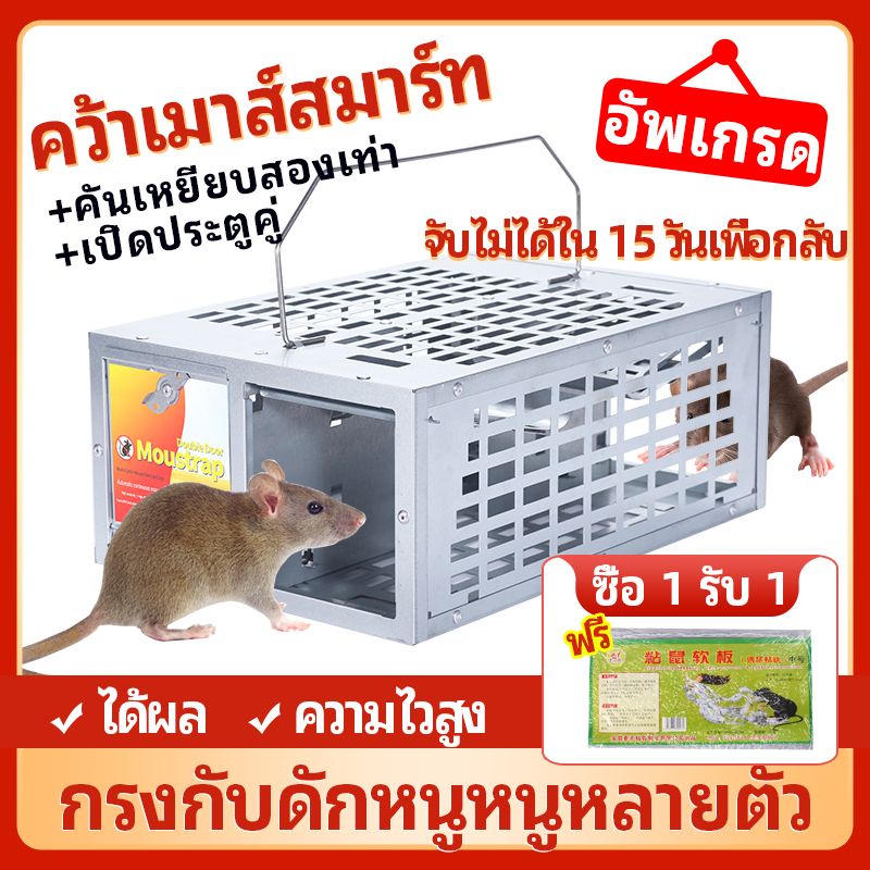 สินค้าแนะนำ 2023 ( 2ประตู）กับดักหนูต่อเนื่อง กรงดักหนู ที่ดักหนู กับดักหนู โรงงานราคาส่งโรงงานราคาถูกรับประกันของแท้