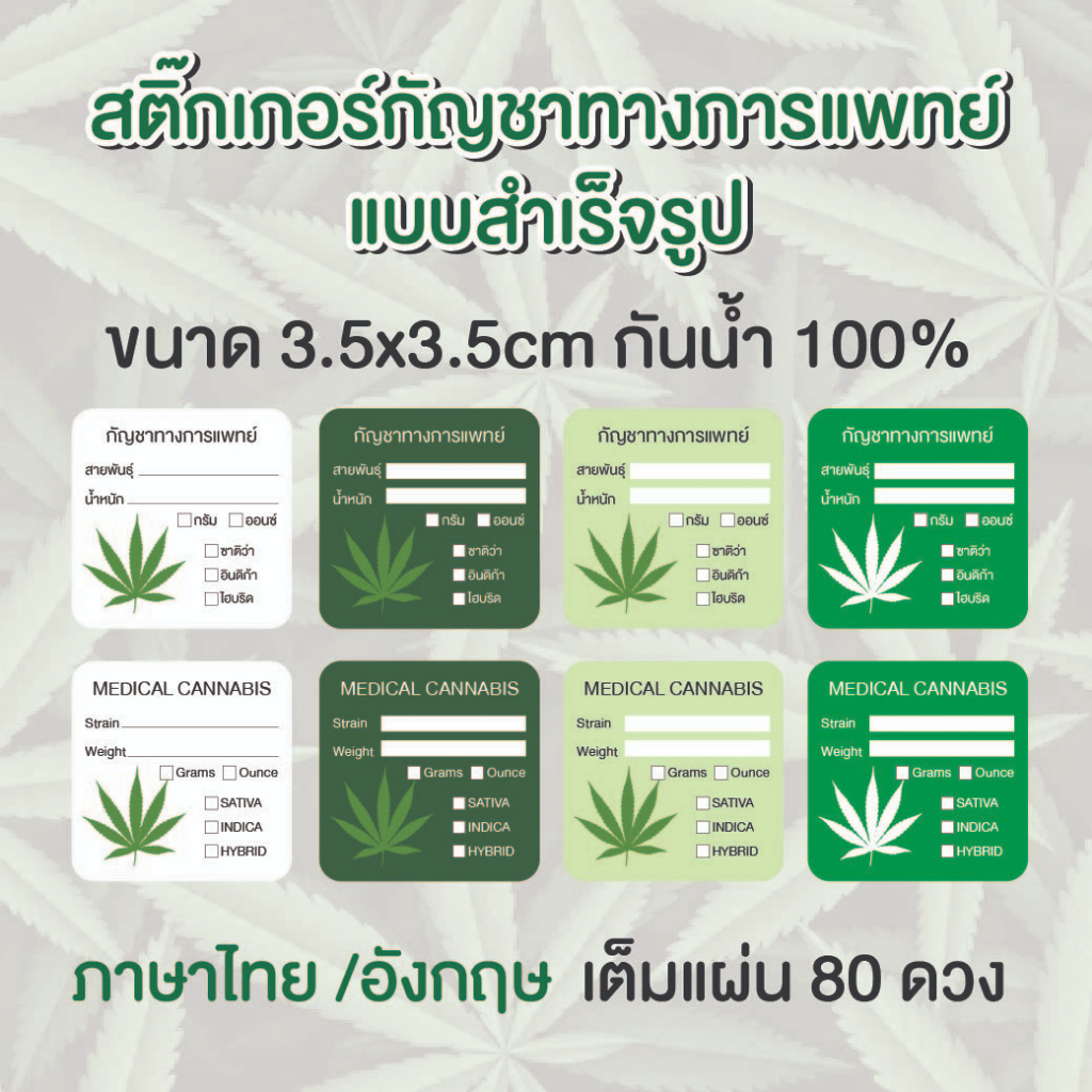 สติ๊กเกอร์กัญชาทางการแพทย์ สติ๊กเกอร์บอกสายพันธุ์กัญชา สติ๊กเกอร์กัญชา ขนาด 3.5x3.5cm สี่เหลี่ยมขอบมน 1 set ได้ 80 ดวง
