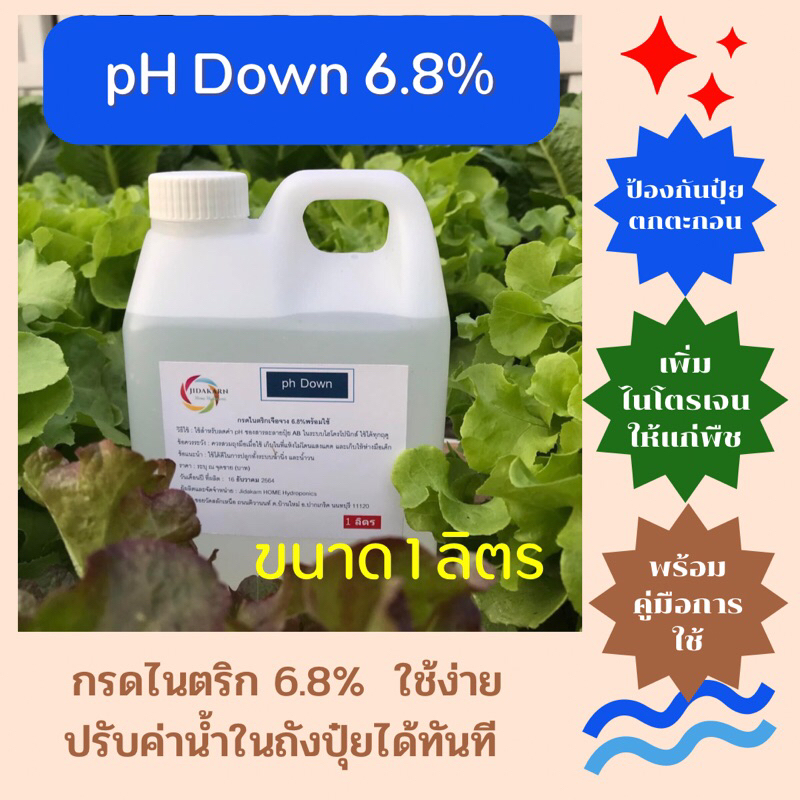 ph down กรดไนตริก พร้อมส่ง  เจือจาง 6.8% ปรับค่าน้ำ ไม่มีไอฟุ้งกระจาย พร้อมใช้ ผักสลัด ผักไทย ไฮโดรโปนิกส์ ขนาด 1 ลิตร