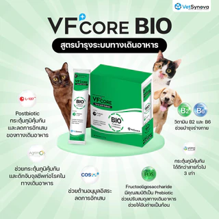 (1ซอง) VFcore ครบทุกสูตร ในรูปแบบขนมแมวเลียรสอร่อย เนื้อทูน่าและแซลม่อนแท้ๆ ทานง่าย น้องๆชอบ
