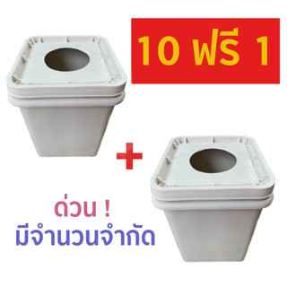 ซื้อ 10 แถม 1 ถังไฮโดรโปนิกส์ พร้อมเจาะฝาเรียบร้อย Hydroponics bucket Grow Smart Hydroponicsระถางปลูกผัก ปลูกเมล่อน