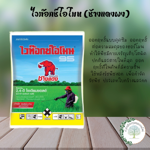 ไวท๊อกซ์โอโมน (ช้างแดง ผง) 2,4-ดี โซเดียมซอลต์ ออกฤทธิ์แบบเลือกทำลาย เฉพาะใบกว้างและกกต่างๆ (50 กรัม)
