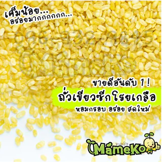 ถุงซิป ถั่วเขียวซีก โรยเกลือ ถั่วทอง โรยเกลือ ขนาด 500กรัม พร้อมรับประทาน มาในถุงซิปล๊อค เก็บความอร่อยได้นานยิ่งขึ้น