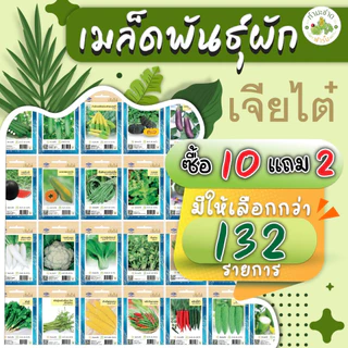 เจียไต๋ (ซื้อ10แถม2) เมล็ดพันธุ์ พริกขี้หนูสวน ขนาด0.5กรัม ประมาณ120เมล็ด Paprika Pepper Chilli พริกขี้หนู เมล็ดพันธุ์