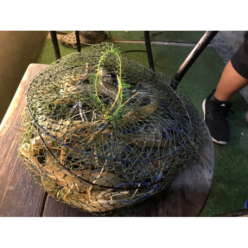 Shrimp Master ชุดตกกุ้งสำเสร็จ Pro S23S ชุดทุ่นหนอน - รูปที่ 5