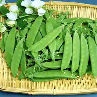 เมล็ดพันธุ์ ถั่วลันเตา ถั่วหิมะ 20+ เมล็ด งอกง่าย🌱โตไว☘️พุ่มใหญ่🌱 [10 แถม 2 คละได้ ]