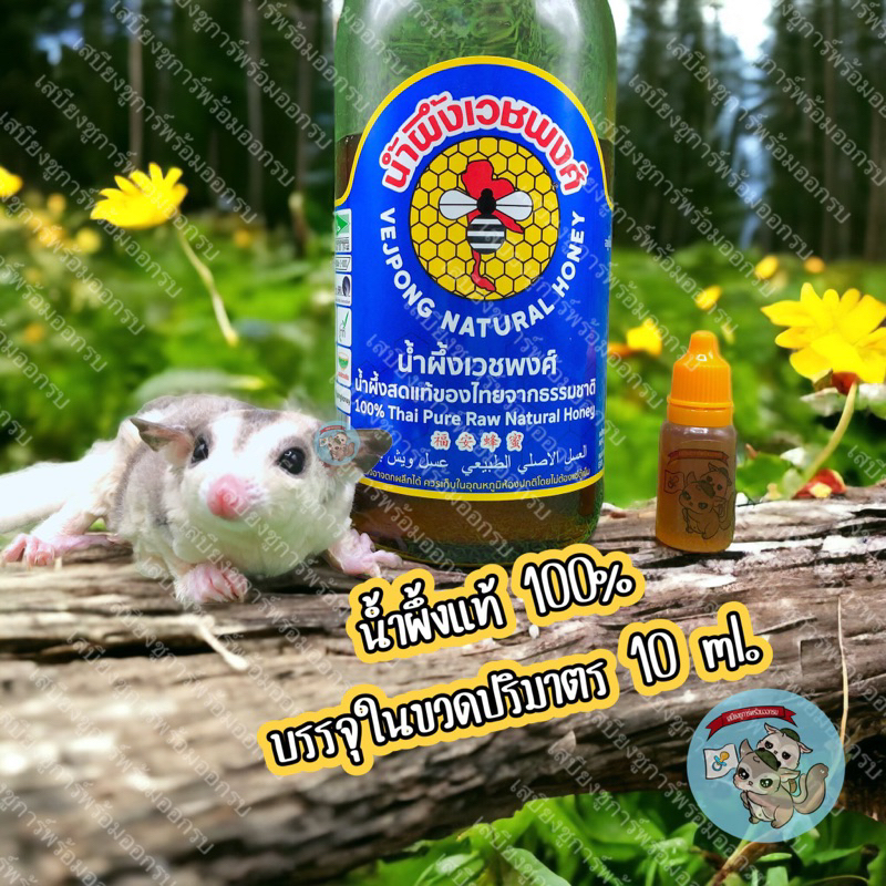 [ น้ำผึ้งแท้ 15มล. ] HONEY น้ำผึ้งเวชพงศ์ น้ำผึ้ง อาหารเสริม ขนม สัตว์เล็ก ชูการ์ กระรอก ดอร์เมาส์ แฮมสเตอร์ บุชเบบี้