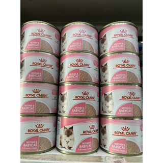 Royal Canin Mother &amp; Babycat Mousse [195g x12] รอยัล คานิน อาหารเปียกแมวกระป๋อง สำหรับลูกแมว แม่แมวให้นม