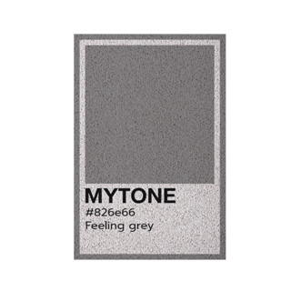 [ MT01-00000065 ] พรม พรมเช็ดเท้า พรมดักฝุ่นลาย Feeling grey ขนาด 40x60 ซม