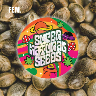 [แพ็ค5โฟโต้] - Supernaturalseeds สายพันธุ์ผลไม้ ขนม 14สายพันธุ์