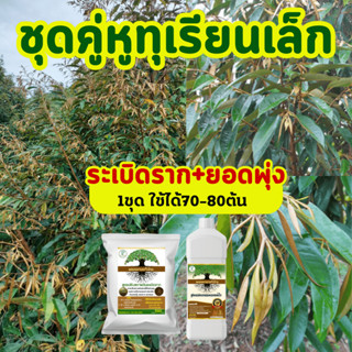 เคล็ดลับกู้ต้นโทรม ระเบิดรากทุเรียน สูตรระเบิดรากทุเรียน #ตัวช่วยมือใหม่  ใบเขียว แตกยอดไว