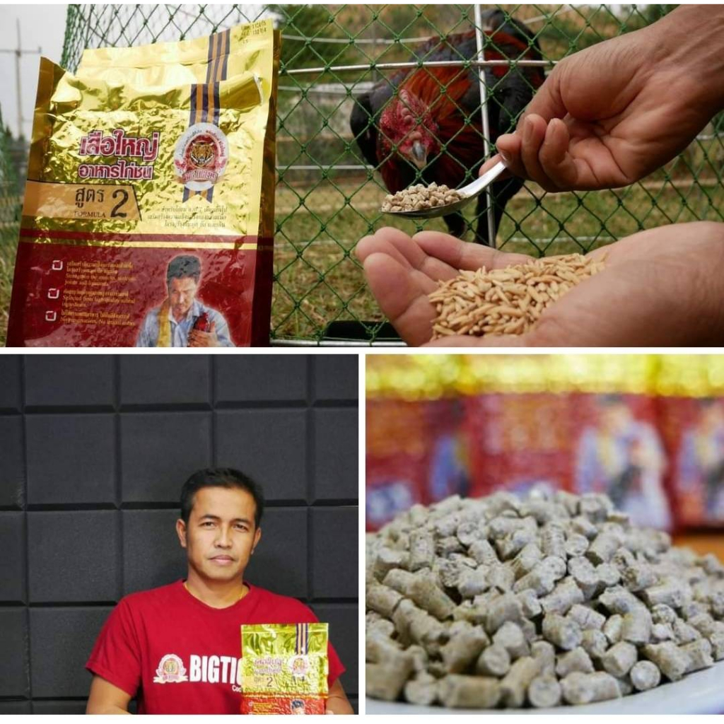 อาหารไก่ชนเสือใหญ่ สูตร2 พรีเมี่ยม สำหรับไก่ชนอายุ 7 เดือนขึ้นไป บรรจุ 1 kg