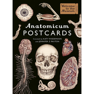 Anatomicum Postcard Box This collection of 50 postcards features Katy Wiedemanns stunning anatomical illustrations