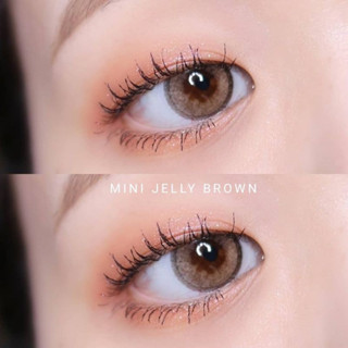 Mini Jelly (Brown, Gray) /Kitty Kawaii​ คิตตี้ คาวาอิ สีน้ำตาล/สีเทา มีค่าสายตา -0.50 ถึง -10.00 คอนแทค​เลนส์ Contaclens