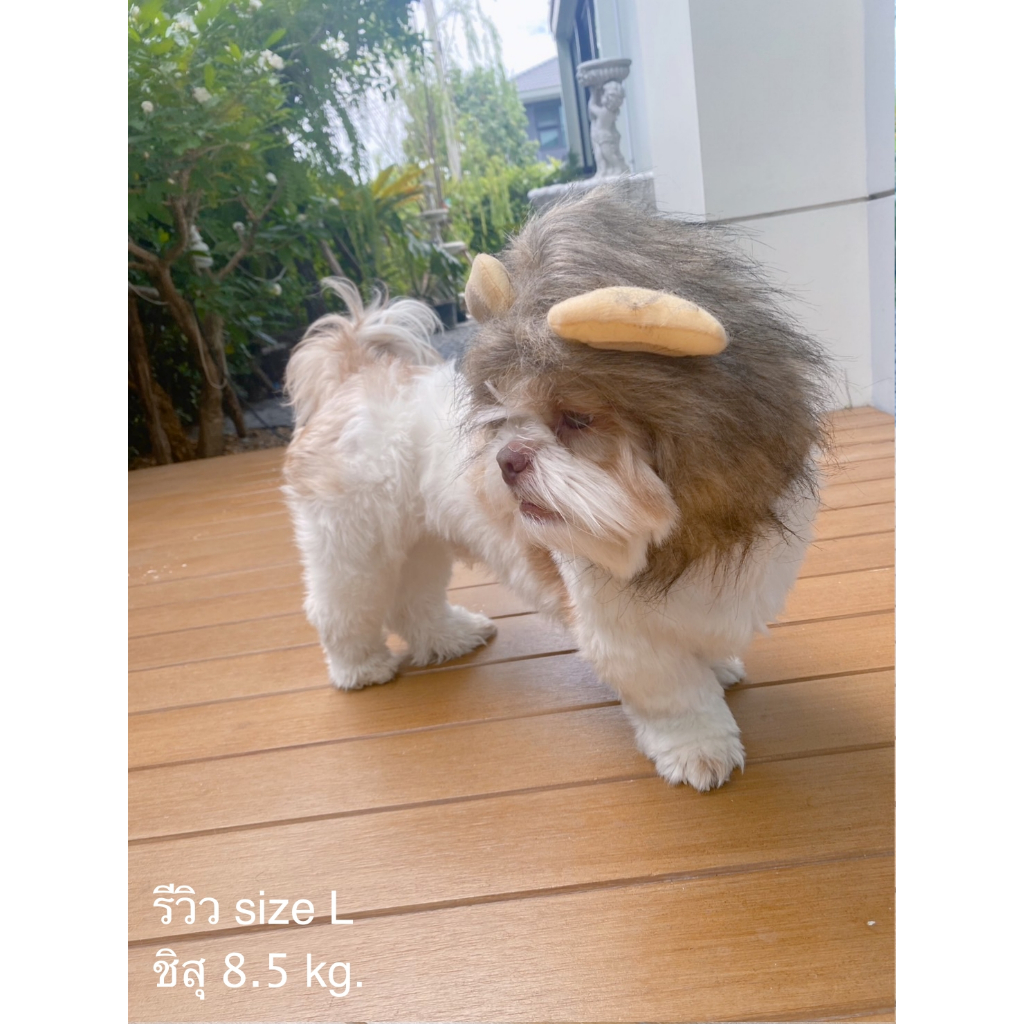หมวกสำหรับสัตว์เลี้ยง วิกสิงโตหมาแมว ใส่แล้วน่ารัก น่ากลัวมากเลยยย
