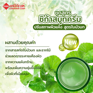 FOR-LV0304-A ชุดสูตร ซิก้าสมูทครีม ปรับสภาพผิวแห้ง สูตรใบบัวบก (Thai) (Cica Smooth Cream for Dryness Skin Formula)