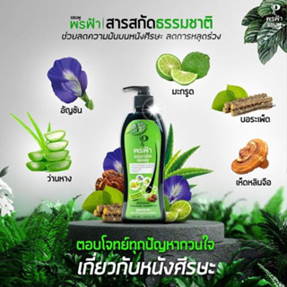 พรฟ้าแฮร์โทนิค เเชมพูออแกนิค เซรั่มปลูกผมสำหรับคนผมบาง  Pronfah Organic Shampoo พรฟ้า แฮร์โทนิค โซลูชั่น ทรีทเม้นท์