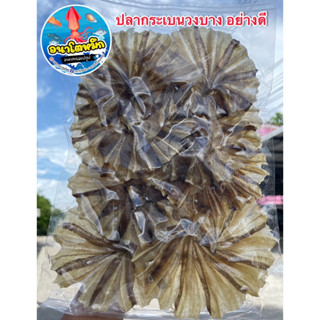 ปลากระเบนวง / ปลาวงบางคัดอย่างดี สด สะอาด เกรดA