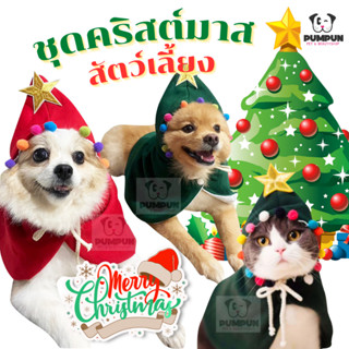 ชุดคริสต์มาส สัตว์เลี้ยง ผ้าคลุมซานต้า Chrismas ชุดเทศกาล (สุนัข/แมว) ชุดแฟชั่นสัตว์เลี้ยง