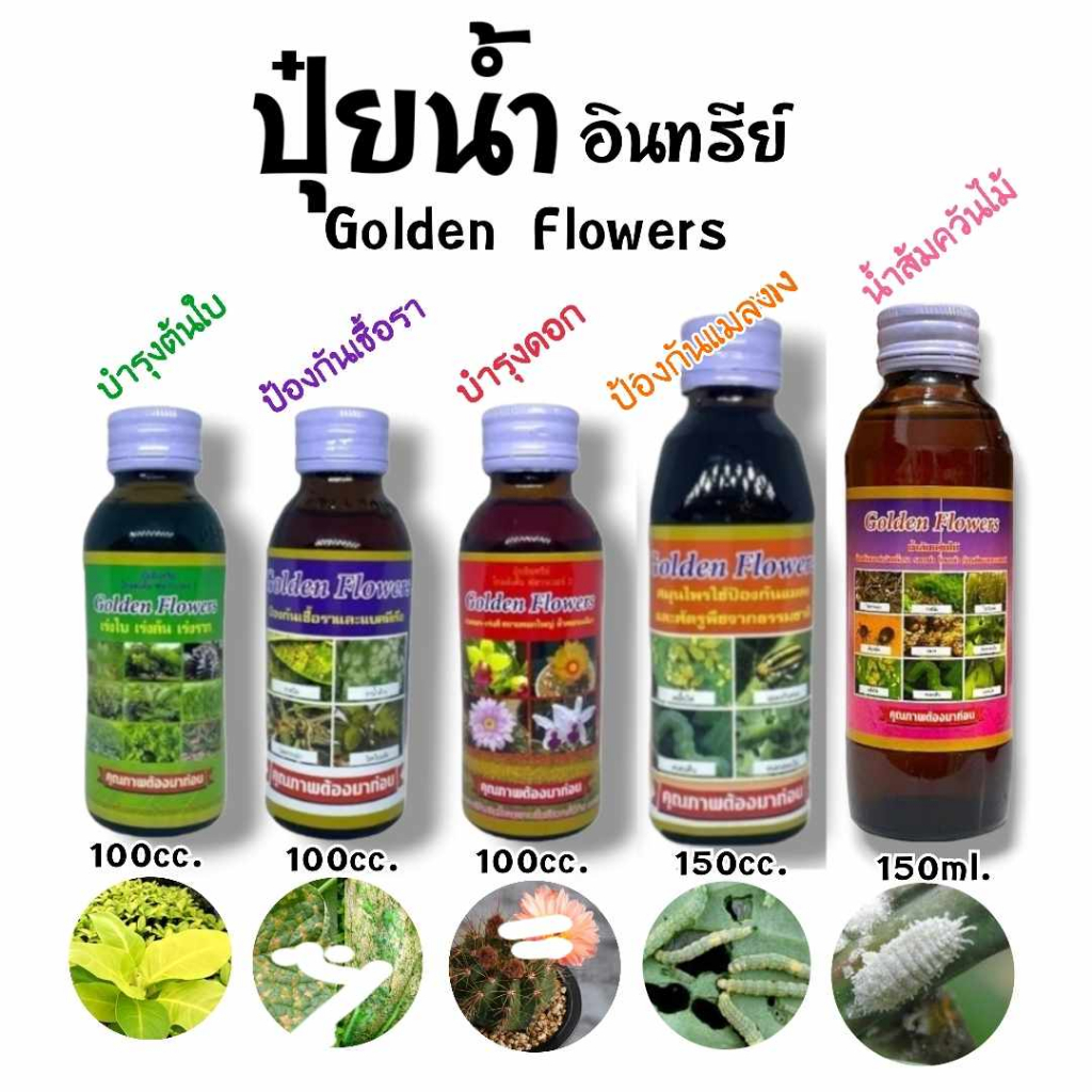 Golden flowers ยากันรา ยาเร่งราก ยากันแมลง ราสนิม เร่งดอก ปุ๋ย แคคตัส กระบองเพชร ป้องกันแมลง ชนิดน้ำ
