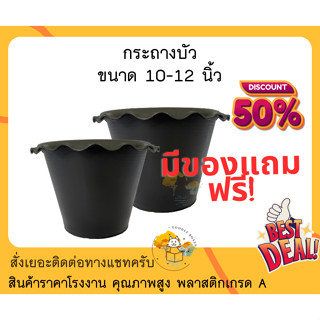 กระถางบัวพลาสติก 10 - 12นิ้ว (ส่วนลด,ของแถม) กระถางบัว กระถางพลาสติก กระถางปลูกบัว กระถางปลูกผัก กระถางชวนชม กระถาง