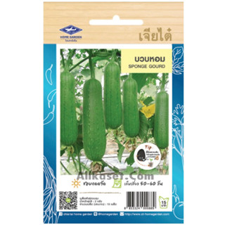 เมล็ดพันธ์ บวบหอม เจียไต๋