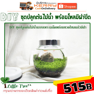 ไม้น้ำ ชุดปลูกต้นไม้น้ำ แบบเพาะเมล็ด XL 515 บาท พร้อมขวดมีฝาปิด