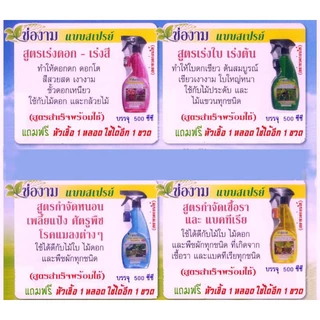 ช่องามสเปรย์(ขนาด500ml) ปุ๋ยน้ำพร้อมใช้ กำจัดแมลง ยาเชื้อรา ปุ๋ยบำรุงต้น ปุ๋ยบำรุงดอก
