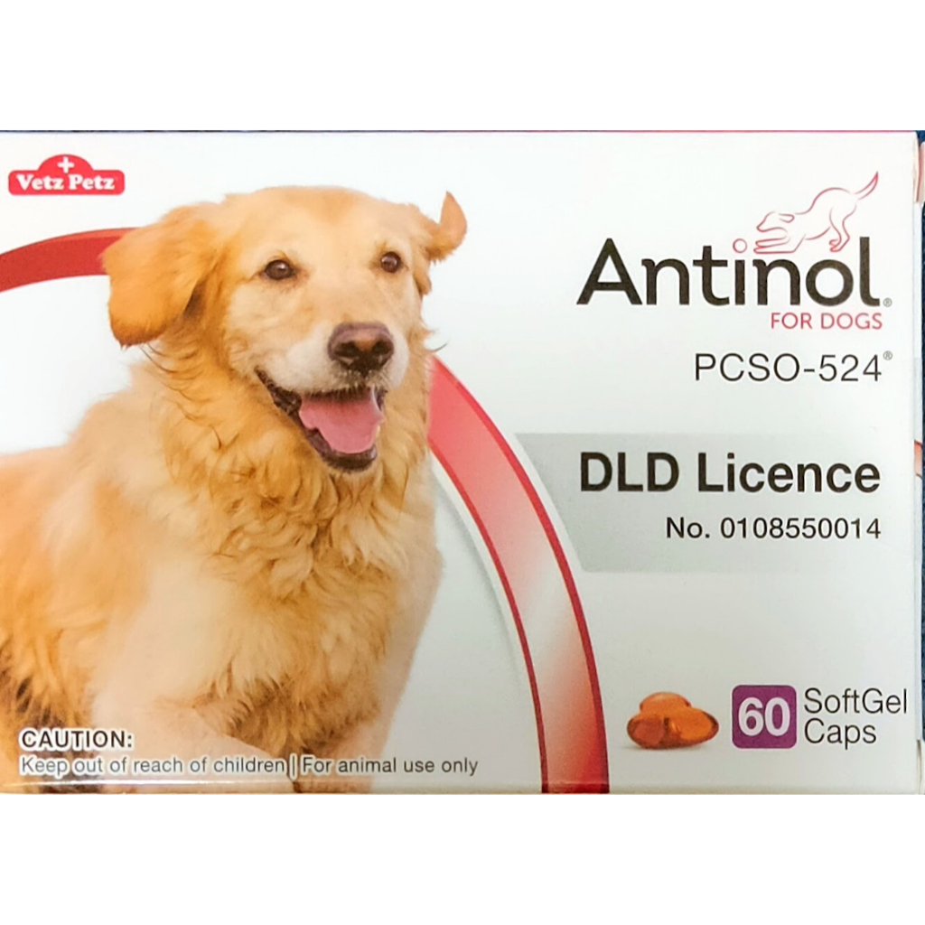 Antinol 60 capsules (PCSO-524) หมดอายุ 03/25 สินค้าของแท้ ฉลากไทย อาหารบำรุงข้อสำหรับสุนัข
