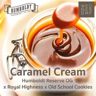 กิ่งชำ กิ่งชำค่าย ต้นโคลน (Clones) Caramel Cream ค่าย Humboltd (ค่ายแท้ 100% เพศเมีย INDOOR)