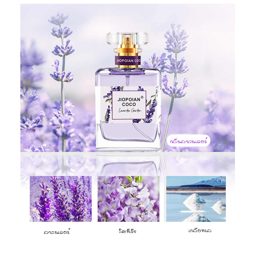 **COCO2206** Lavender Fragrance Perfume 50ml. น้ำหอมกลิ่นดอกลาเวนเดอร์ น้ำหอมดอกไม้ น้ำหอมผู้หญิง လာဗန်ဒါပန်းရနံ့ရေမွှေး
