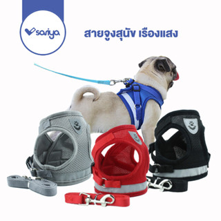 SARIYA สายรัดอกสุนัข เรืองแสง (AB01) Pet Reflective Harness สายจูงสัตว์เลี้ยง สายจูงหมา สายรัดอกสุนัข