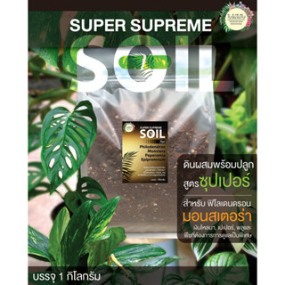 แหล่งขายและราคาสูตร Super Supreme !!!! ดินผสมพร้อมปลูกสำหรับไม้ด่าง มอนสเตอร่า, ฟิโลเดนดรอน, เปปเปอร์ และไม้ตระกูลพลูอาจถูกใจคุณ