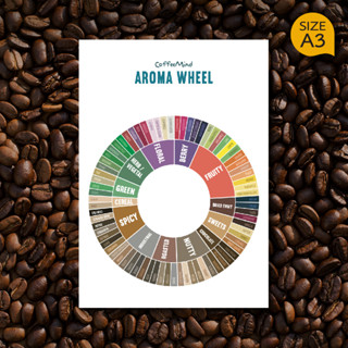 โปสเตอร์ กาแฟ Coffee Aroma Wheel Poster ตกแต่งร้านกาแฟ แต่งร้านกาแฟ ป้ายร้านกาแฟ ของตกแต่งร้านกาแฟ (A3)