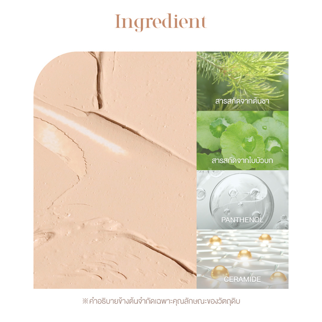 dasique Pro Concealer Palette #เดซีค คอนซีลเลอร์, ปกปิด, รองพื้น - รูปที่ 4