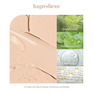 dasique Pro Concealer Palette #เดซีค คอนซีลเลอร์, ปกปิด, รองพื้น