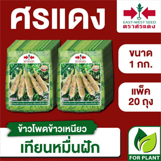 ขายส่ง เมล็ดพันธุ์ ศรแดง BIG ข้าวโพดข้าวเหนียว เทียนหมื่นฝัก ขนาด 1 กิโลกรัม (1 กก. X 20 ถุง)