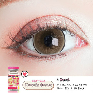[ ใหม่!! ] คอนแทคเลนส์ คิตตี้ คาวาอิ Flammie Brown ค่าสายตา