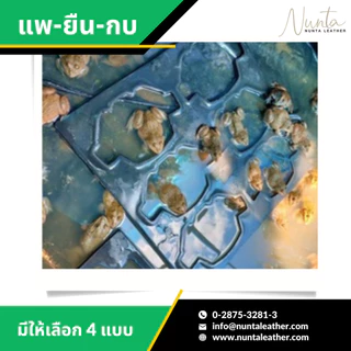 แพยืนกบ แพเลี้ยงกบ ช่วยกบลอยตัว แพ็คละ 18 แผ่น แผ่นละ 4.17 บาท