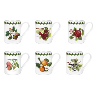 แก้วมัค Portmeirion Pomona Set of 6 Coffee Mugs